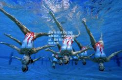 雷竞技:球迷文化塑造赛场灵魂，从助威到公益，看体育迷如何改变运动生态