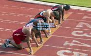 雷竞技:短道速滑世锦赛激战正酣 中国队力夺混合接力金牌
