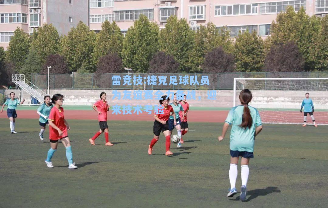 捷克足球队员为友谊赛全力备战，迎来技术考验